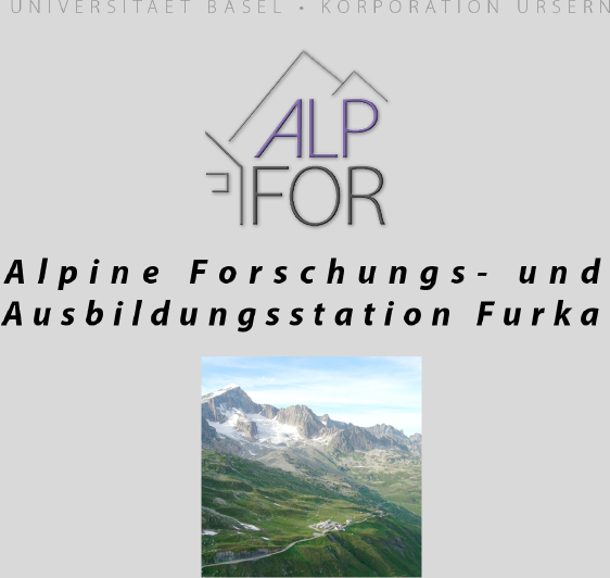 alpfor
